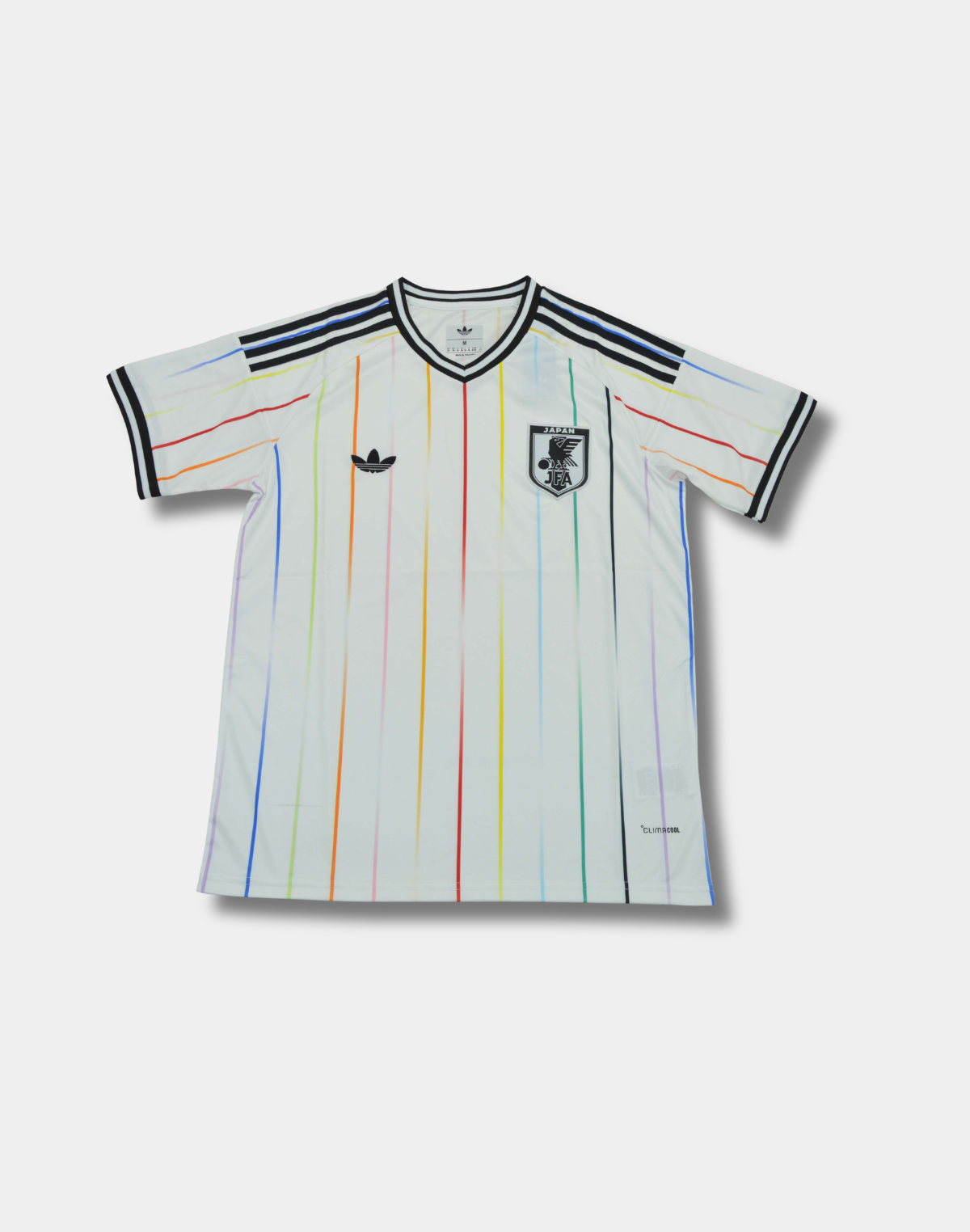 Japan World Cup Away Kit