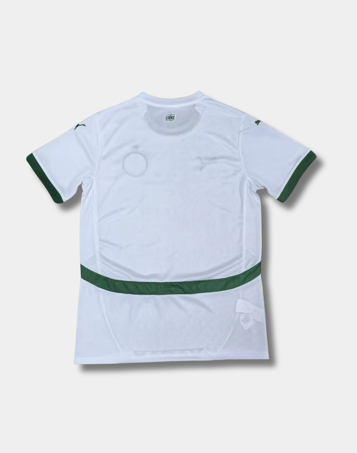 Senegal "Prismatic Lion" World Cup Special Kit